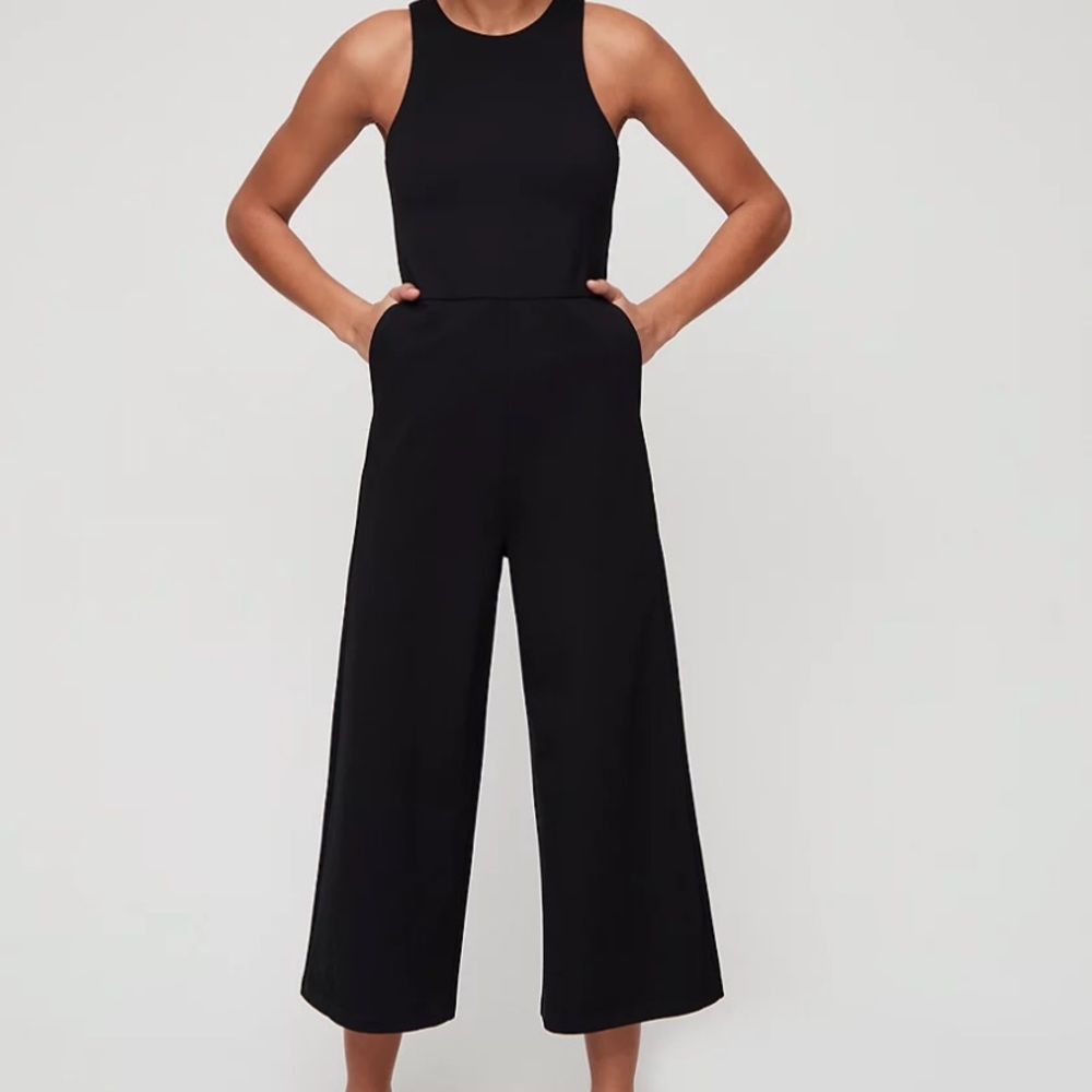 Aritzia Babaton Mikey Jumpsuit